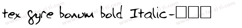 tex gyre bonum bold Italic字体转换